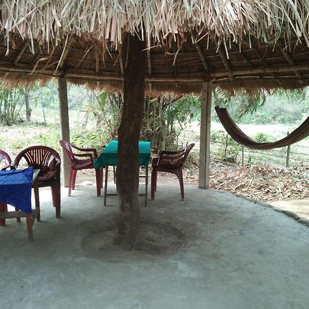 Chital Lodge Chitwan Bagian luar foto