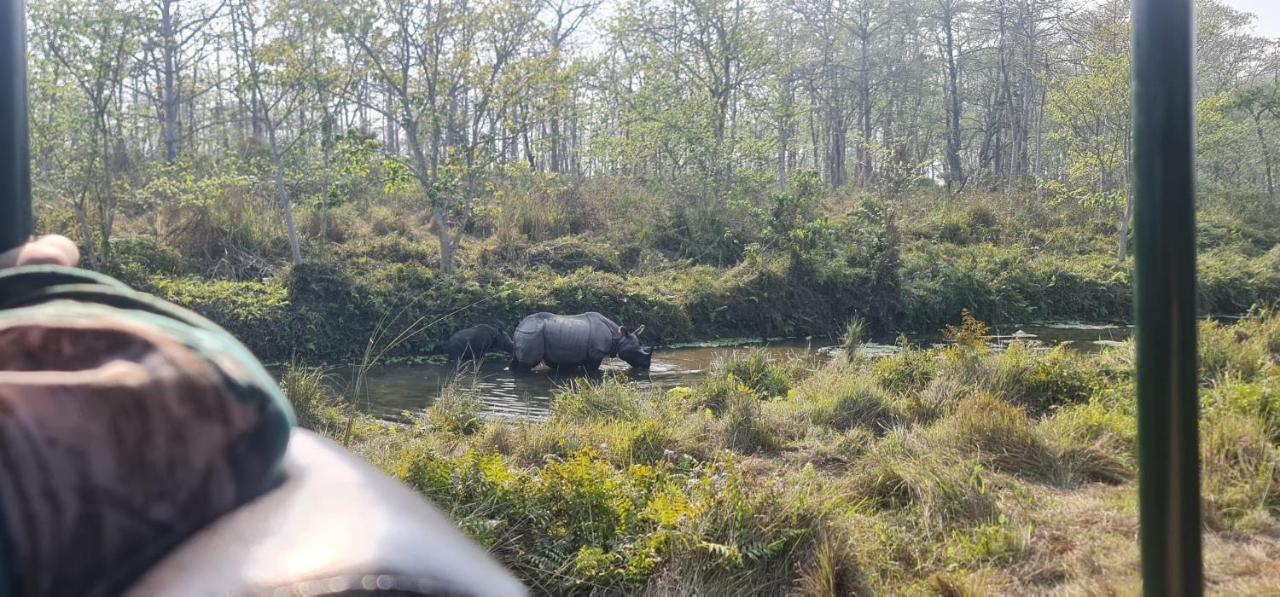 Chital Lodge Chitwan Bagian luar foto