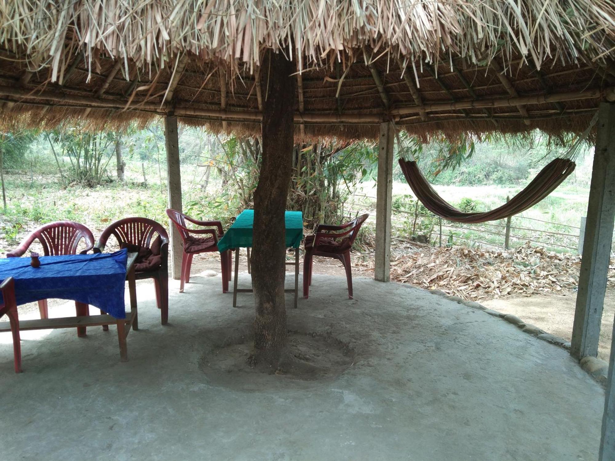 Chital Lodge Chitwan Bagian luar foto