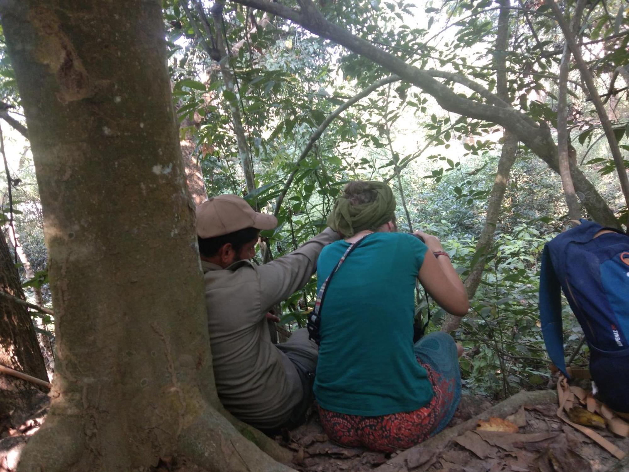 Chital Lodge Chitwan Bagian luar foto