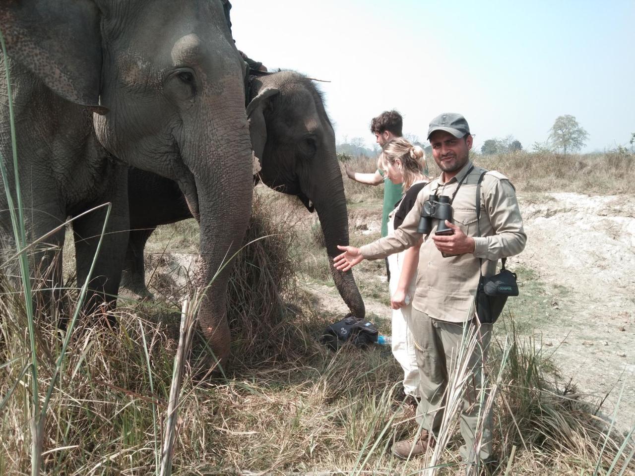 Chital Lodge Chitwan Bagian luar foto