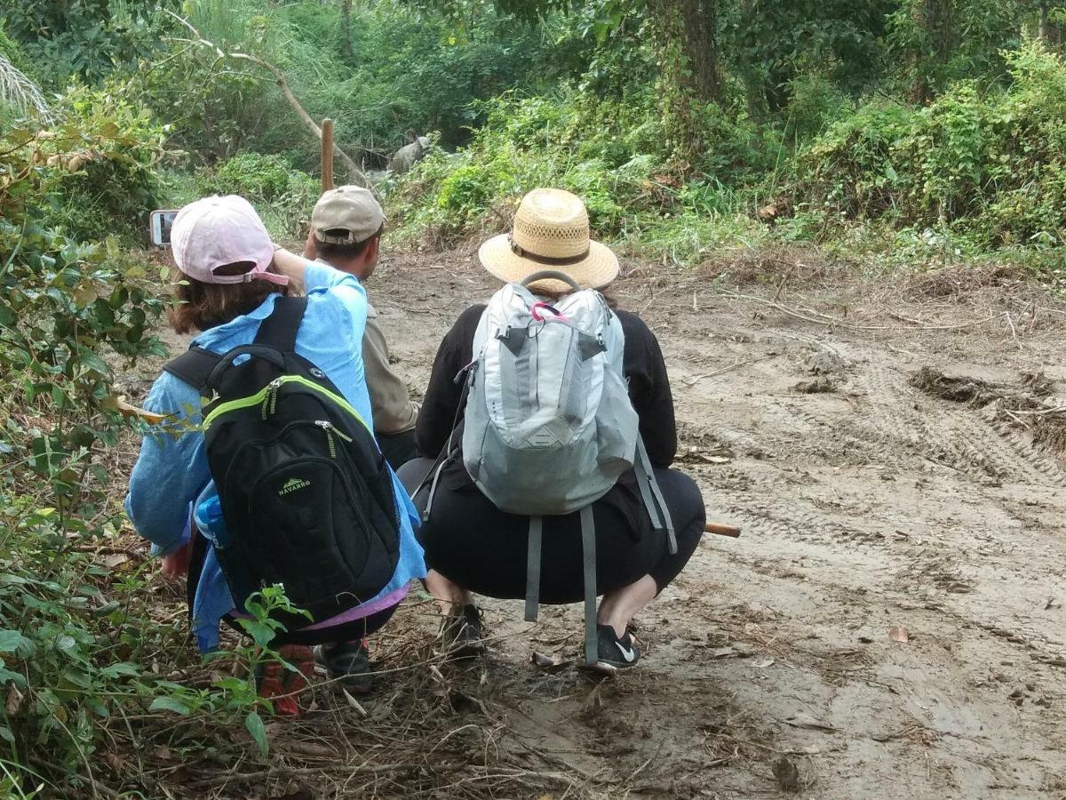 Chital Lodge Chitwan Bagian luar foto