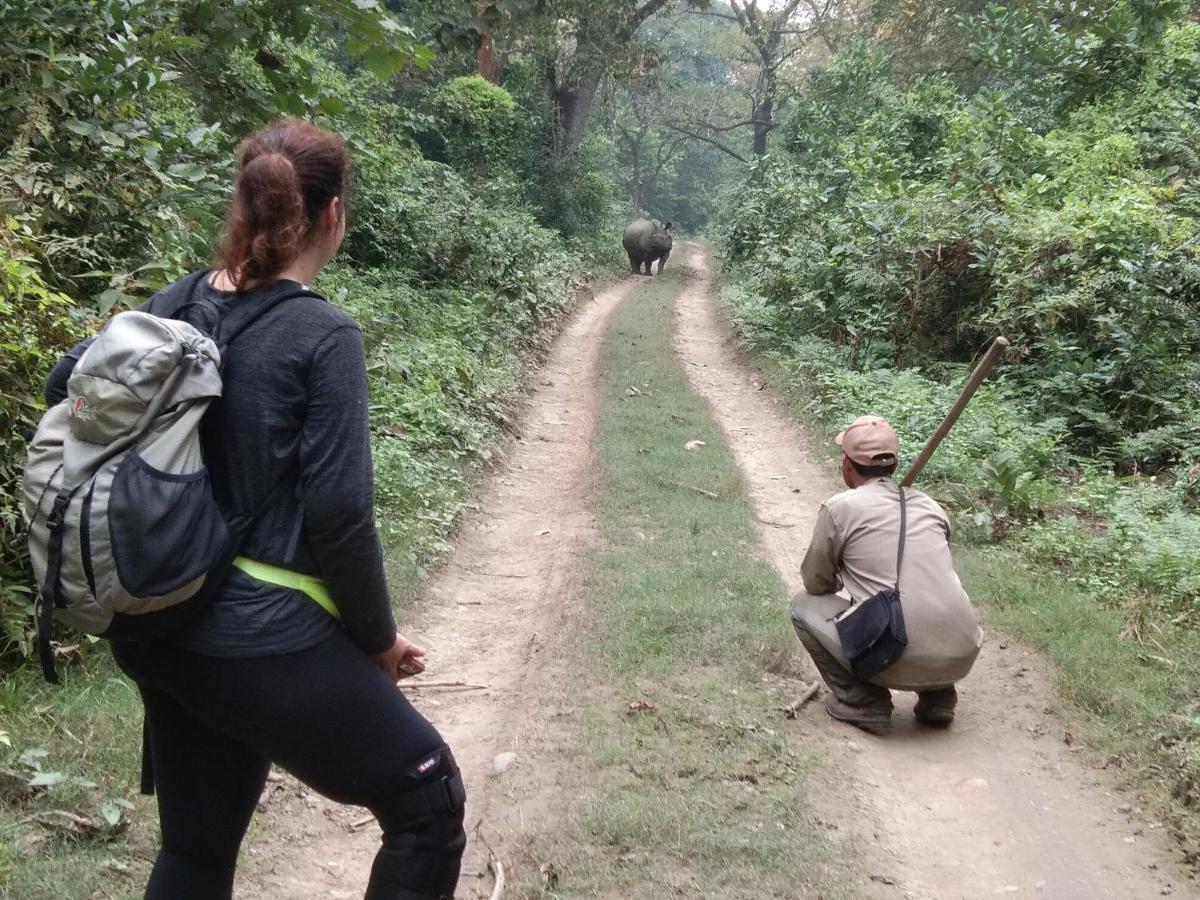 Chital Lodge Chitwan Bagian luar foto