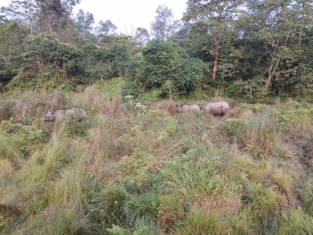 Chital Lodge Chitwan Bagian luar foto