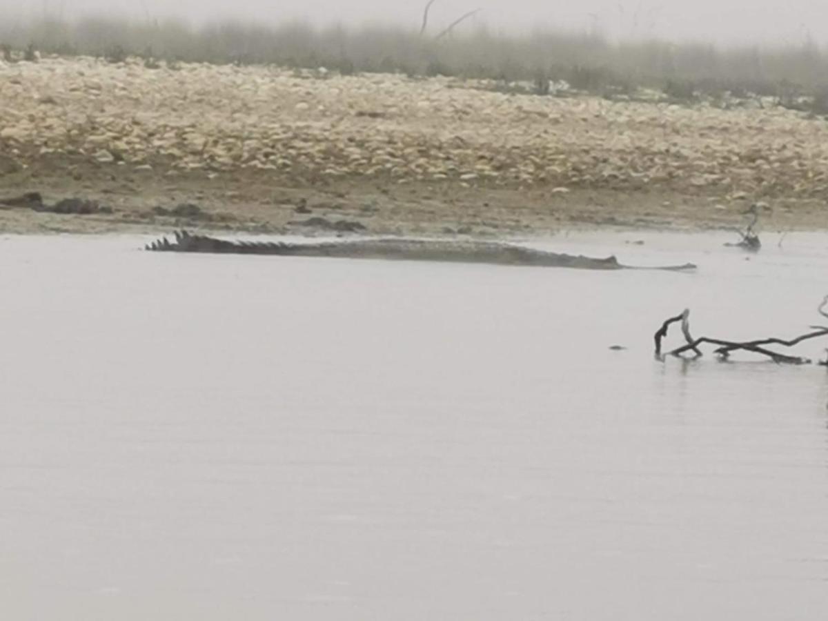 Chital Lodge Chitwan Bagian luar foto